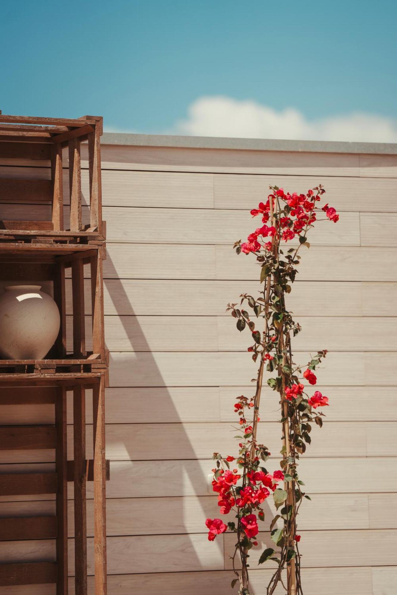 Hotel Honucai Colònia de Sant Jordi Exterior foto